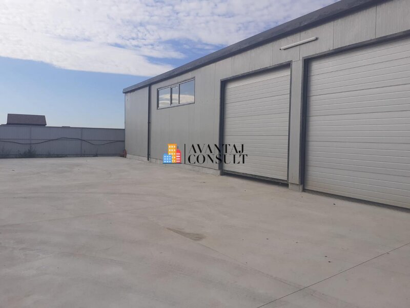 Domnesti, hala 300 mp curte 600 mp betonata