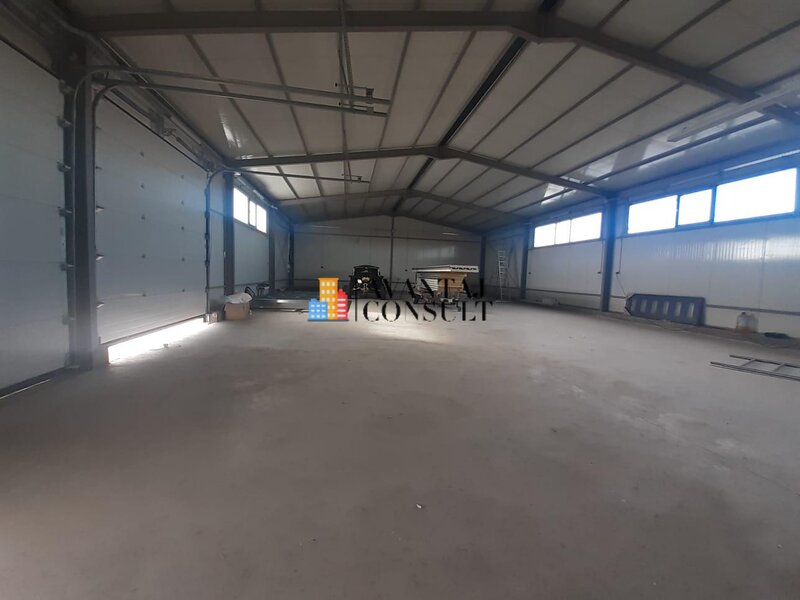 Domnesti, hala 300 mp curte 600 mp betonata