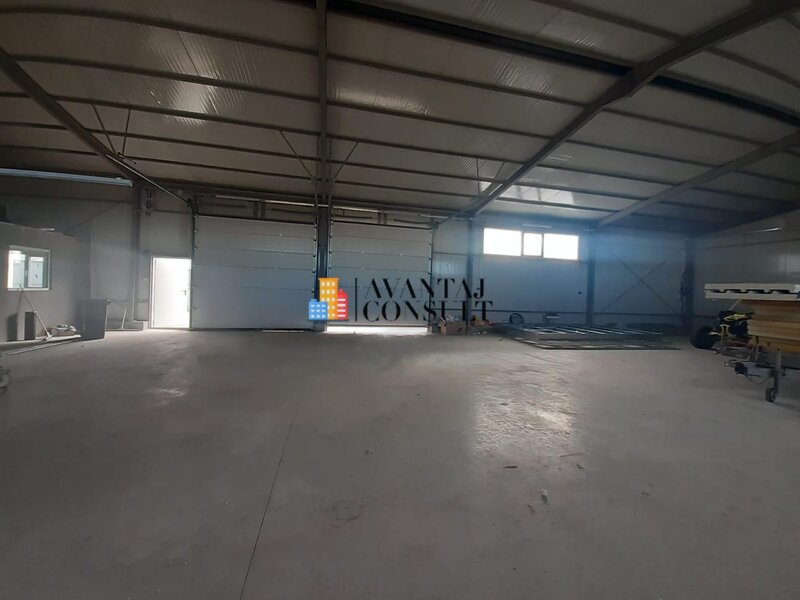 Domnesti, hala 300 mp curte 600 mp betonata