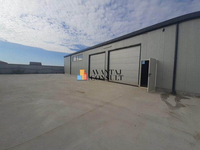 Domnesti, hala 300 mp curte 600 mp betonata